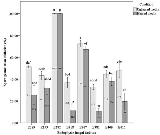 Spore germination inhibition (%) of endophytic fungal isolates against oak wilt fungus in culture filtrate test. Different letters indicate a significant difference (p < 0.05) among treatments