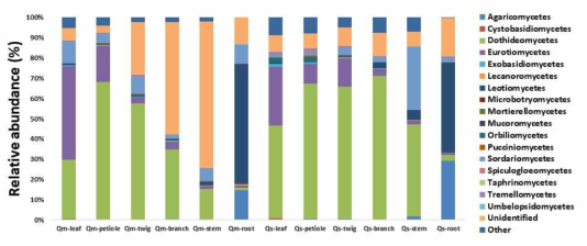 Relative fungal abundance patterns at the class level in tree parts (leaf, petiole, twig, branch, stem and root) of Quercus mongolica (Qm) and Quercus serrata (Qs)