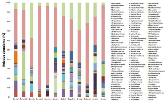 Relative fungal abundance patterns at the family level in tree parts (leaf, petiole, twig, branch, stem and root) of Quercus mongolica (Qm) and Quercus serrata (Qs)