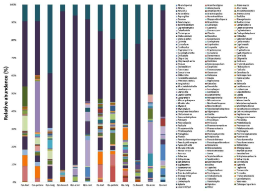 Relative fungal abundance patterns at the genus level in tree parts (leaf, petiole, twig, branch, stem and root) of Quercus mongolica (Qm) and Quercus serrata (Qs)