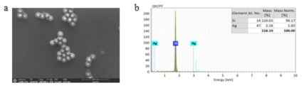 a) 실리카코팅된 실버나노입자 (Ag@SiO2) 의 SEM 이미지. b) Ag@SiO2의 원소 분석 결과