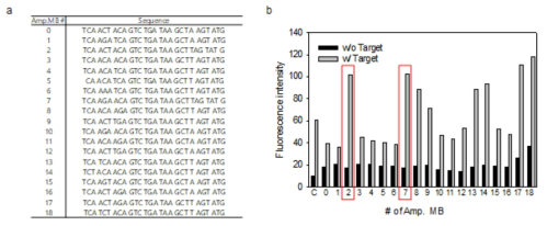 a) 신호증폭을 위한 추가 Amp-MB 후보군의 염기서열. b) miR-21 타겟 여부에 따른 각 Amp-MB의 신호 증폭 효율성 검증