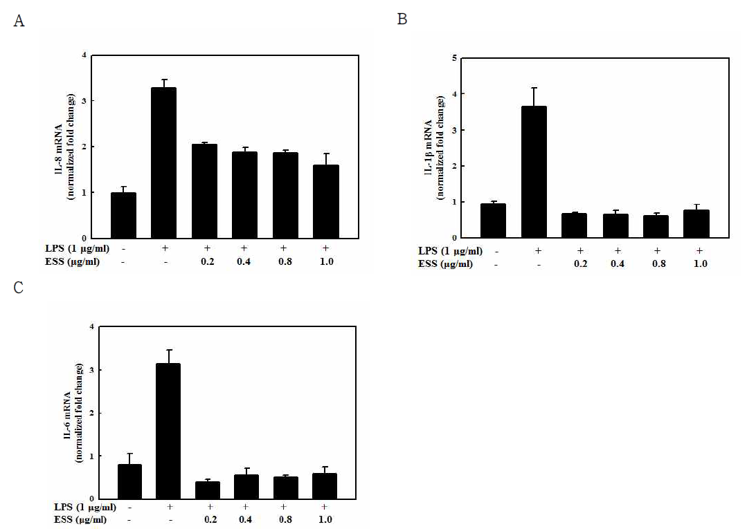 톱니모자반 주정 추출물에 의한 염증성 사이토카인 mRNA 수준의 억제 효과