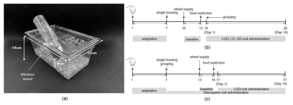 BALB/c 마우스를 이용한 ABA 형성 (a) 케이지 크기, 14×17×30 cm; 깔집에서 물과 사료 공급공간까지의 높이, 4 cm (b) 프로토콜 상 한약 투여 일정 (c) olanzapine 등 전처리 시약 투여일정