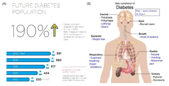 미래 당뇨병 인구(A) 및 당뇨로 인한 합병증(B)