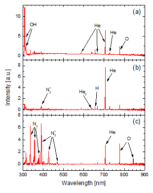 헬륨 대기압 플라즈마 제트의 분광신호 (a) section A (b) section B (c) section C