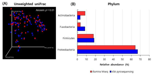 PCoA plot과 우점하는 taxa 비교를 통한 sequencing platform의 차이 비교