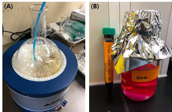 혐기 배양 배지의 산소 제거를 위해 사용된 100% N2 가스 주입(A) 과 Resazurin sodium salt (stock 50mg/ml)(B)