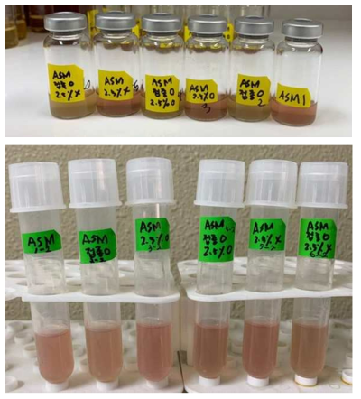 Unknown chemical과 미생물 사체를 넣어준 polymicrobial in vitro model