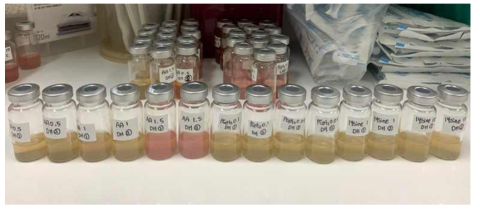 mother compounds을 농도별로 첨가해준 polymicrobial in vitro model