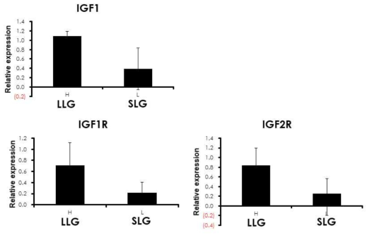 돼지 산자수 상/하위 그룹에서 IGF신호의 ligand와 receptor의 발현. LLG; larger litter size group, SLG; small litter size group