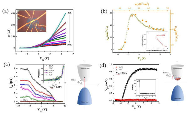 MoS2 소자의 (a)gats bias에 따른 온도ㅡ전도도 곡선. (b) Gate bias에 따른 field effect 및 Hall mobility 및 전자 농도. (c) gate bias에 따른 광전류 및 phase 변화. (d) 적외선 영역에서 gate bias에 따른 광전류 및 phase 변화