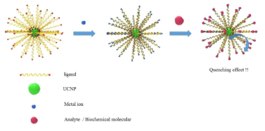 UCNP와 메탈이온을 이용한 생화학분자와의 분광분석 소광 현상 도식도