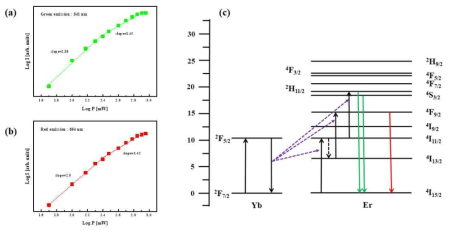 (a) 541 nm 영역의 pump-power dependence, (b) 654 nm 영역의 pump-power dependence, (c) 발광 파장에 따른 에너지 전달과정의 메커니즘 도식도