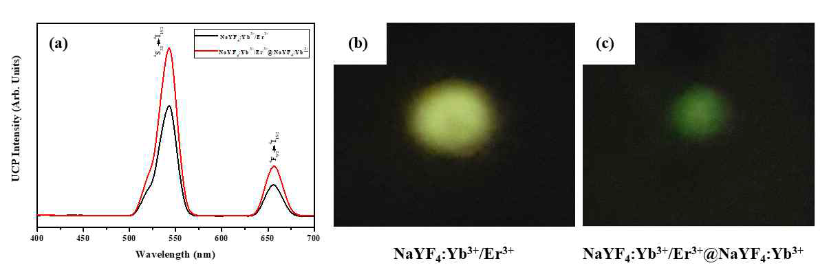 (a) NaYF4:Yb3+/Er3+와 NaYF4:Yb3+/Er3+@NaYF4:Yb3+의 형광 스펙트럼 비교, (b) NaYF4:Yb3+/Er3+ 소재의 형광 색 이미지, (c) NaYF4:Yb3+/Er3+@NaYF4:Yb3+ 소재의 형광 색 이미지