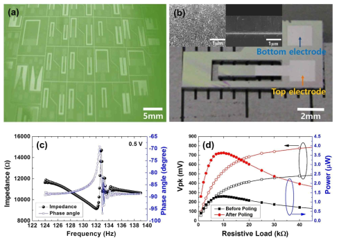 Optical images of (a) the mask-patterned d31 mode energy harvesting cantilevers, (b) the fabricated MEMS energy harvester using the 0.5 mol.% Mn-doped KNN thin film, (c) the measured resonance frequency and (d) the measured peak voltage and the average power output of the energy harvesting device at the resonance frequency of 132 Hz with and without poling process as a function of resistive loads. The insets in 그림 3(b) show the surface and the cross sectional micro-structures of the 0.5 mol.% Mn-doped KNN thin film