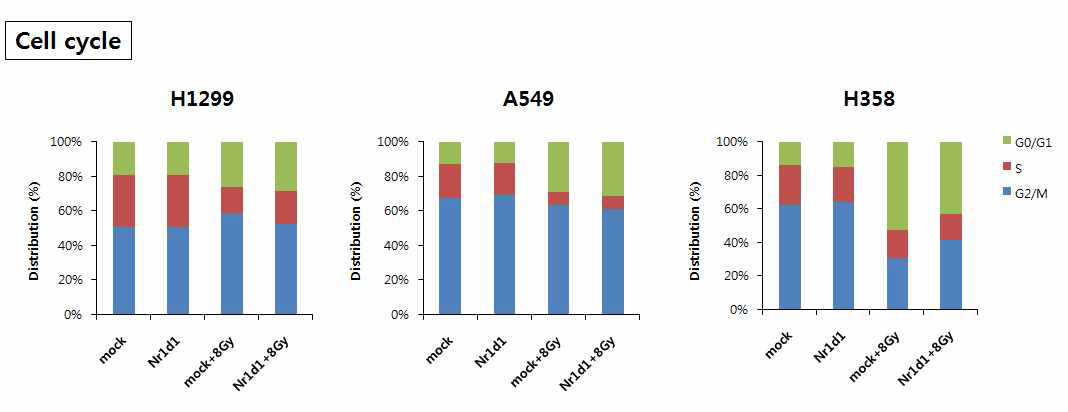 NR1D1 과발현이 사람 폐암 세포주의 세포 주기에 미치는 영향