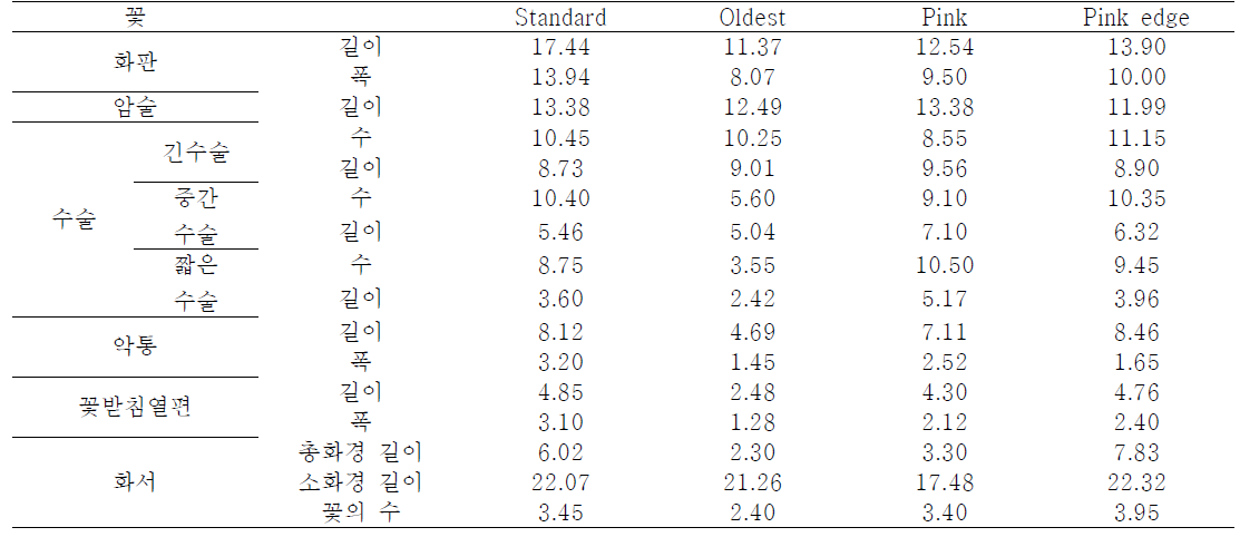 선발개체 꽃형태 변이