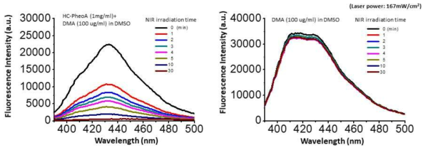 NIR irradiation time dependent fluorescence spectra of DMA with (a) and without (b) HC-PheoA in DMSO solution