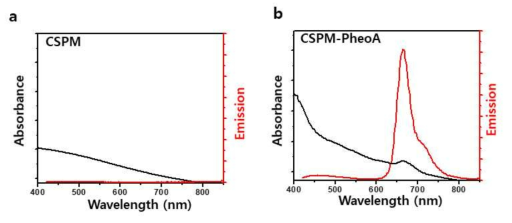 Absorption and Emission spectra of CSPM (a) and CSPM-PheoA hydrogel particles (b). Emission spectra of samples were obtained at excitation 380 nm wavelength