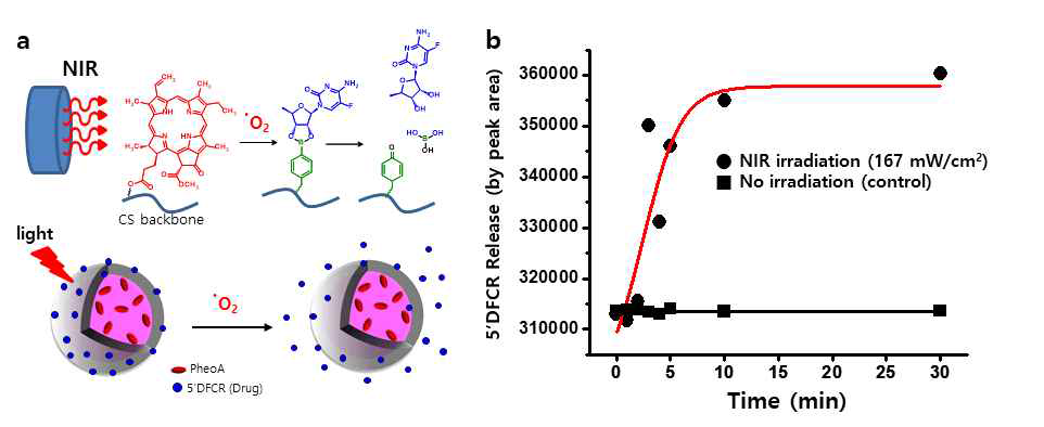 Mechanism of boronic ester cleavage by hydrogen peroxide derived from activated photosensitizer (a) and ROS-triggered drug release from CSPM-PheoA-5′-DFCR hydrogel analyzed by HPLC (b). The hydrogel samples (5 mg/mL) in DMSO were exposed to NIR laser (λ = 670 nm, 167 mW/cm2, irradiation time = 1, 2, 3, 4, 5, 10, and 30 min, respectively). After centrifugation of the samples at 13,000 rpm for 30 min, supernatants were collected and the amount of free 5′-DFCR in each sample was measured by HPLC [injection volume = 10 μL; elution buffer = DW/Methanol (8:2, v/v), absorbance at 220 nm, retention time = 4.15 min]