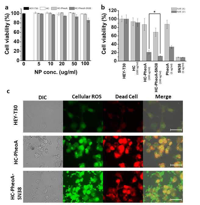 Cell viability after NPs treatment for 24 hr (a) and with/without NIR (167m W/cm2, 10 min) (b). *P<0.05 by the students′ t-test. (c) Fluorescence microscopic images of HEY-T30 Cell with NPs (Final conc. 0.2mg/ml) + SOSG (singlet oxygen sensor green) after NIR irradiation. Scale bar = 50 μm