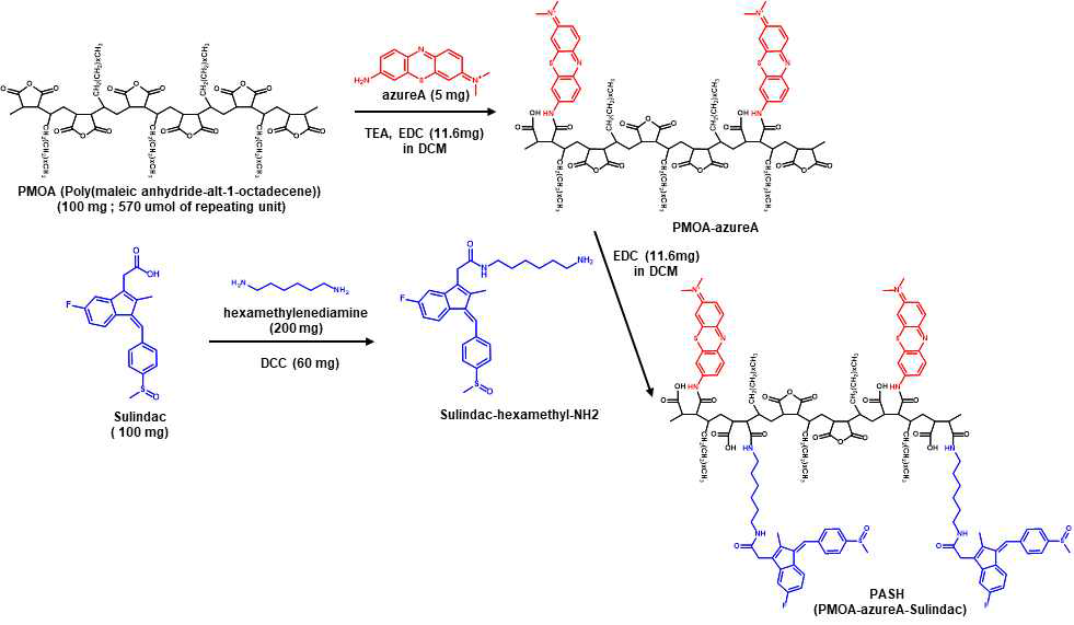 Synthetic process of PASH nanoparticles (NPs)