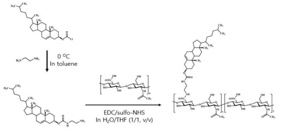 Synthetic process of hyaluronic acid-cholesterol conjugates