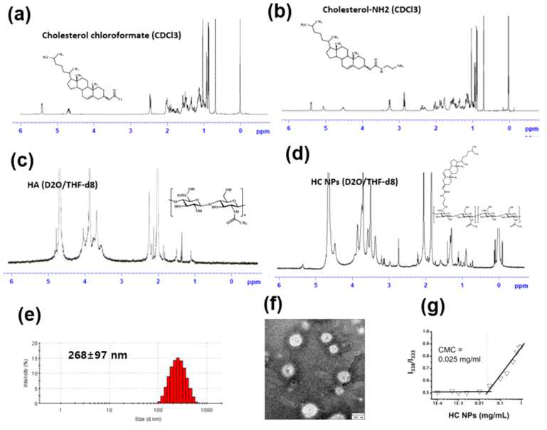 1H-NMR (a)~(d). specific peaks (a) double bond 5.4 ppm (1H, -CHCH2-), (b) 2.8 ppm(2H, -NH2CH2) and 3.2 ppm (2H, -NHCH2-), (C)N-acetyl group 2 ppm (3H, -COCH3) and (d) double bond (5.4 ppm) of cholesterol in HA-Chol conjugate. Degree of Substitution (DS) was calculated from integration ratio between 2.0 and 5.4 ppm (~15%). (e) Hydrodynamic size by DLS analysis. (f) TEM image, and (g) Critical micelle concentration (CMC) of HC NPs