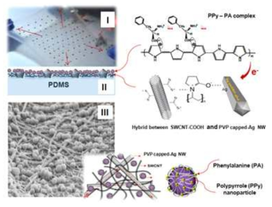 (I) Photograph of stretchable transparent sensor films (STSF) and (II) schematic of their sectional structure and the structures of constituent nanomaterials embedded into PDMS. (III) Schematic of the PPy–PA-complexed nanoparticles with SWCNT–Ag NW hybrid networks and their surface SEM image of STSF