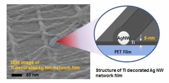 Surface structure and schematic of an Ag NW network film decorated with Ti