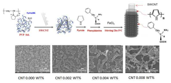 암모니아 가스에 선택적으로 반응할 수 있는 SWCNT@PPy@PA 나노로드의 합성 과정