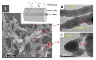 암모니아 가스에 선택적으로 반응할 수 있는 SWCNT@PPy@PA 나노로드의 SEM 및 TEM