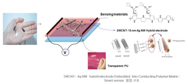 개발 목표제품의 Transparent Stretchable Smart Sensor Film 개념도