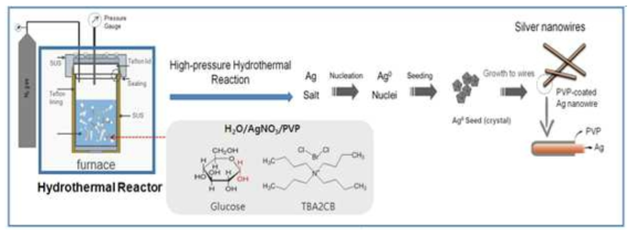 SHPH법의 Reaction scheme 및 은 나노 와이어 성장 메카니즘