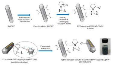 Schematic of the synthesis procedure for a conductive Ag NW-SWCNT hybrid ink aqueous solution based on the interconnection between mono-dispersed SWCNT-COOH and Ag NWs in the presence of PVP as a mediator