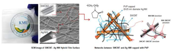 (left) FESEM surface image of the conductive Ag NW-SWCNT hybrid layer and (right) schematic of the Ag NW-SWCNT hybrid networks showing the current pathway