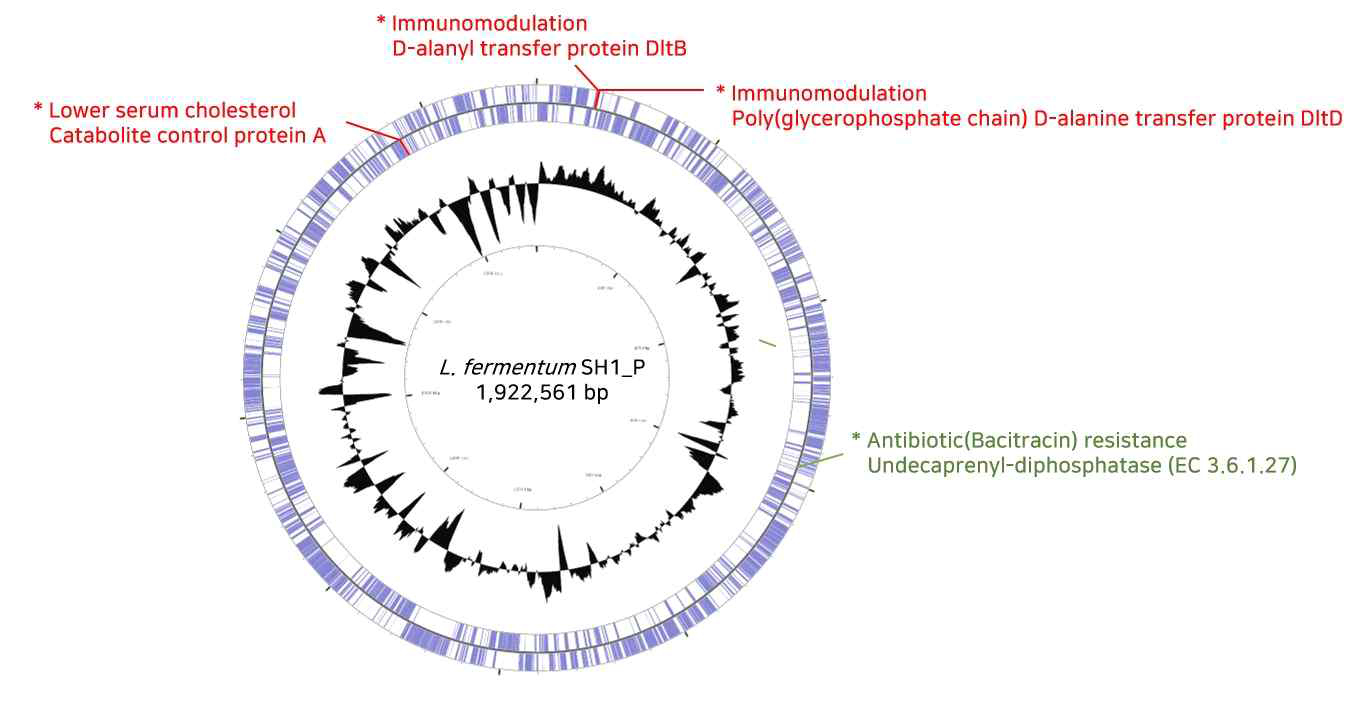 L. fermentum SH1_P의 유전체 지도