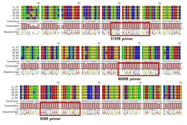 막걸리 유래 대표 Lactobacillus 16S rRNA gene 염기서열 비교분석 결과