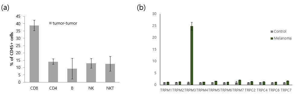 종양에 침윤된 림프구 분석 및 비장의 면역세포의 TRPM과 TRPC의 subfamily mRNA분석. FACs 분석을 통하여 종양내의 침투된 림프구에 대한 세포 분포도 분석결과 (a), 비장내의 선별된 TRPM과 TRPC subfamily에 대한 mRNA 발현량 결과 (b)