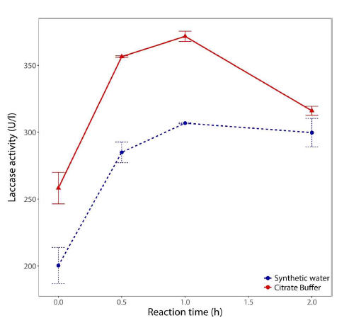 Citrate 버퍼와 인공하수에서의 균사고정목재 TBB-03 효소 추출 비교