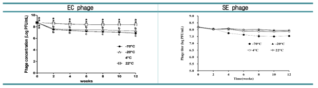 EC phage와 SE phage의 저장성