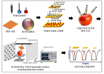 자가진동 센서 기반의 automatic surface-scanning detection system