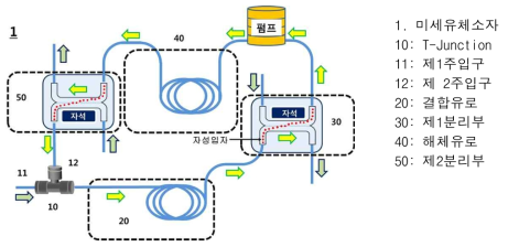 미세유체소자를 이용한 생채 분자의 연속 추출 시스템