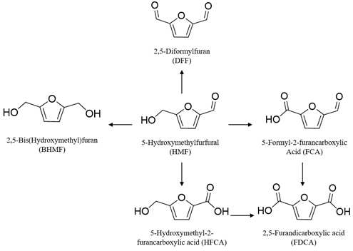 HMF의 활용