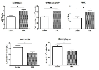 CRE 투여는 호중구 및 대식세포의 apoptosis를 감소시킴