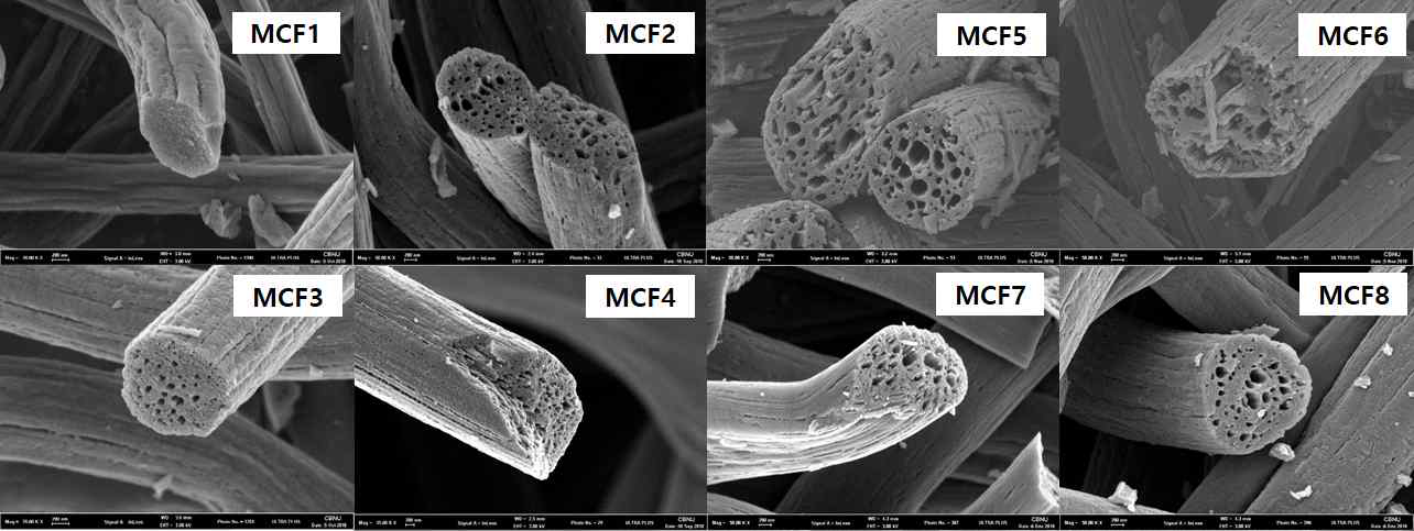 다양한 탄소소재의 FE-SEM 이미지