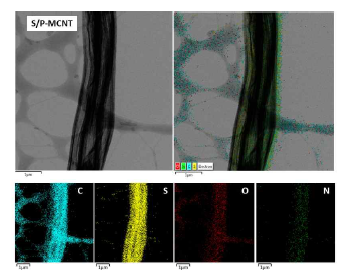 다공성 탄소소재를 이용한 S/P-MCNT 복합소재의 Mapping 이미지