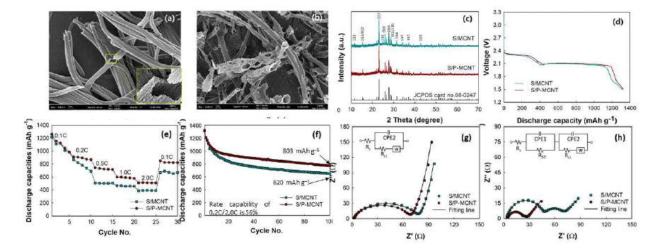 (a) MCNT, (b) P-MCNT의 FE-SEM 이미지, (c) XRD 결정구조 특성, (d) 초기 충/방전 곡선, (e) C-rate 특성, (f) 사이클 특성, (g) 사이클 전과 (h) 1사이클 방전후의 EIS 결과