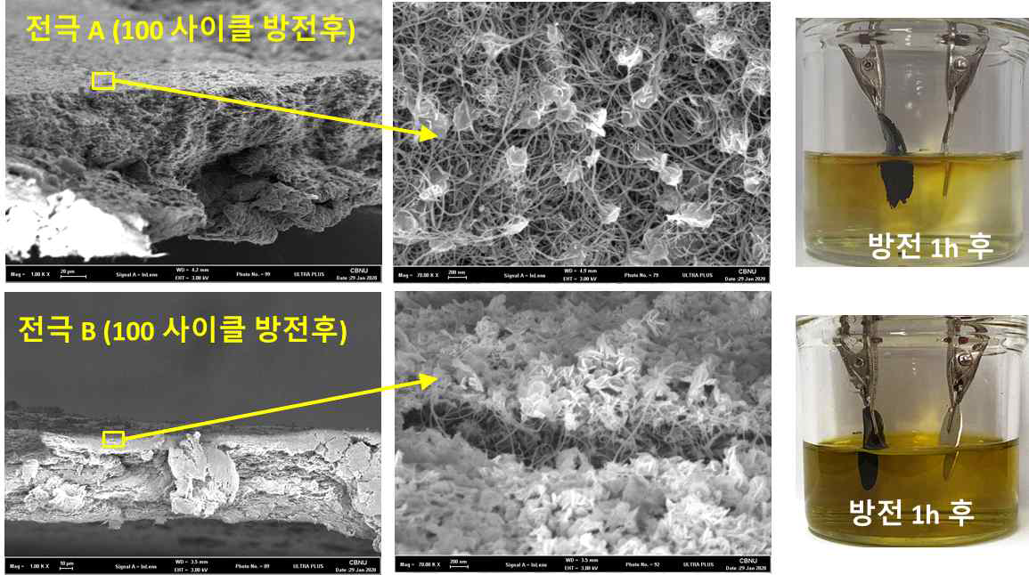 전극 A, B의 100 사이클 방전후의 전극 표면 SEM 이미지 및 비커셀 용출실험
